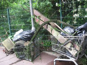 Hogsmill Clean Up by the University